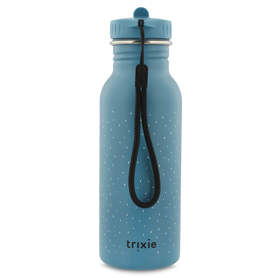 Botella acero Triceratops Trixie 500ml - Imagen 3