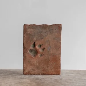 HUELLA DE TERRACOTA