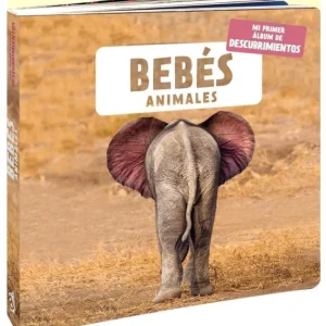 Bebés animales