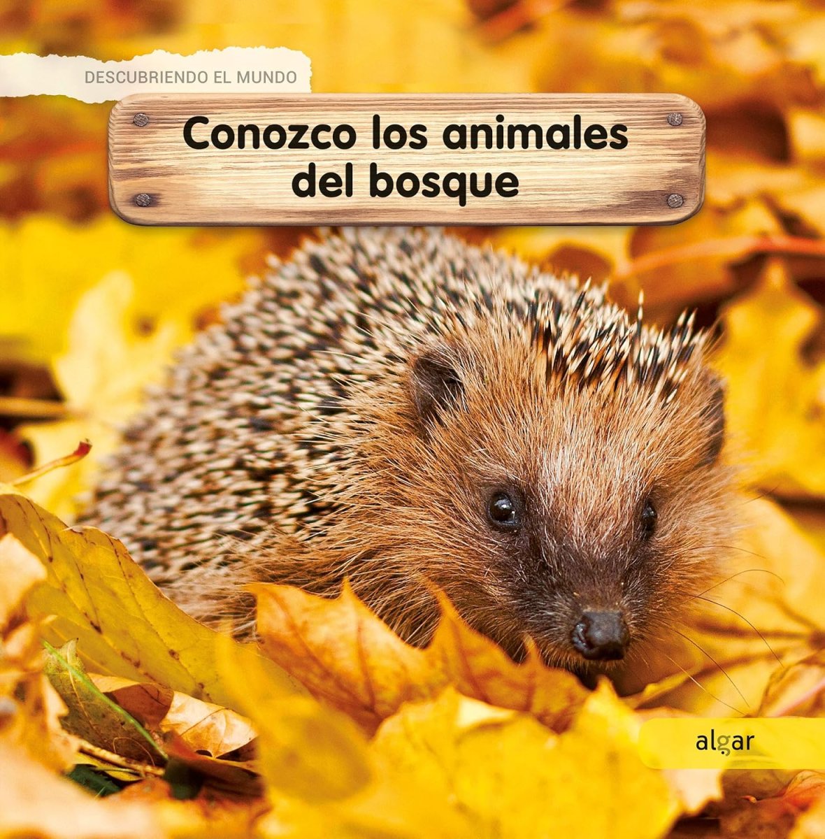 Conozco los animales del bosque - Imagen 2