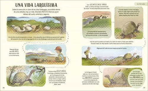 Paciencia - Imagen 5