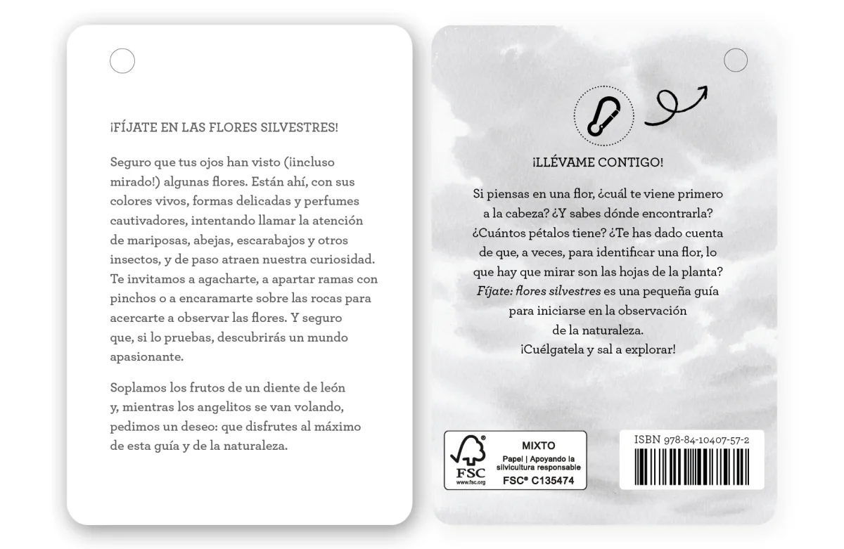 Fíjate: Flores Silvestres - Imagen 6