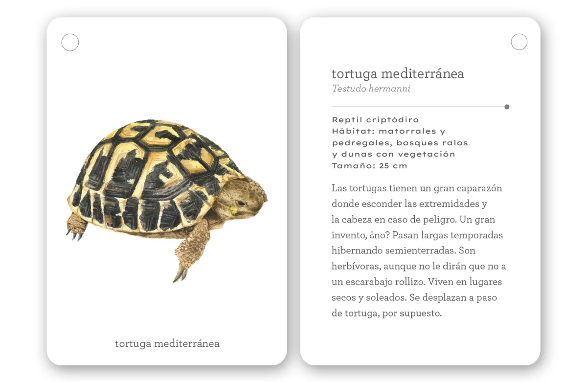 Fíjate: Reptiles y anfibios - Imagen 4