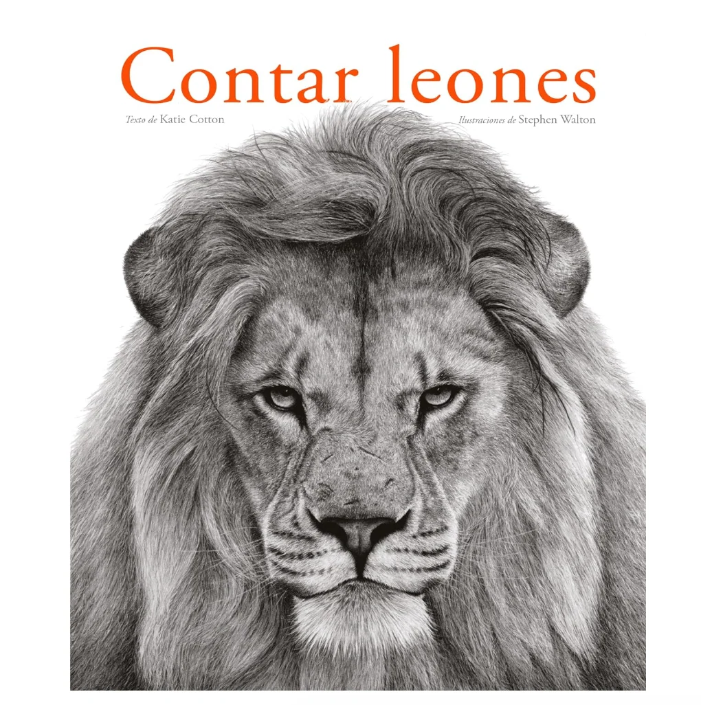 Contar leones - Imagen 2