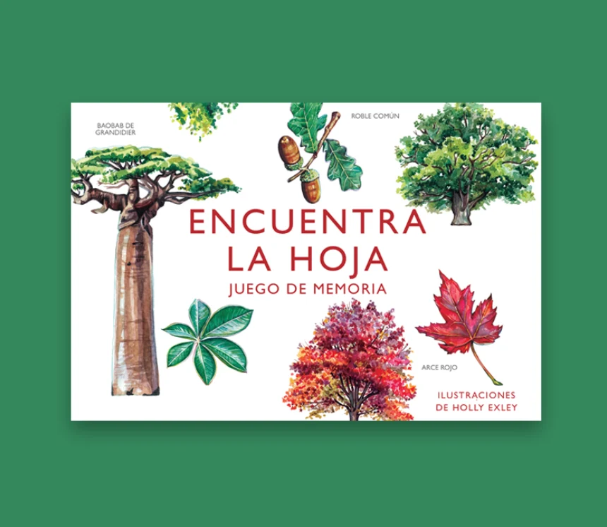 Encuentra la hoja - Imagen 2