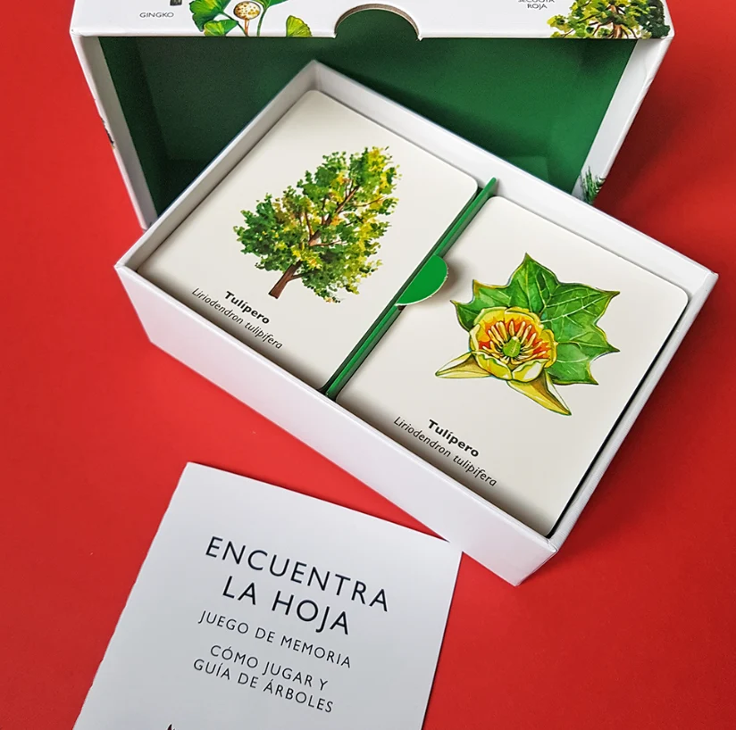 Encuentra la hoja - Imagen 5