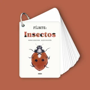 Fíjate: Insectos