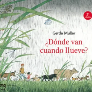 ¿Dónde van cuando llueve?