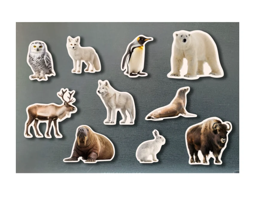 Imanes de bambú Animales polares – Nowordbooks - Imagen 2