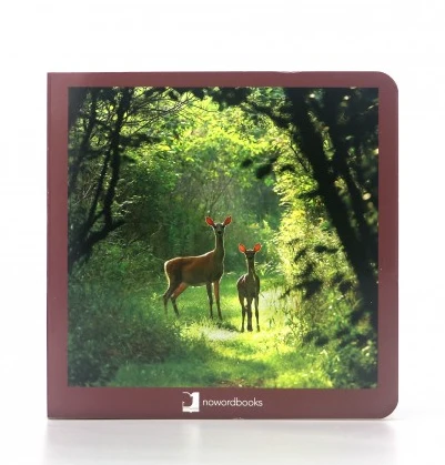 Animales del bosque - Nowordbooks - Imagen 2