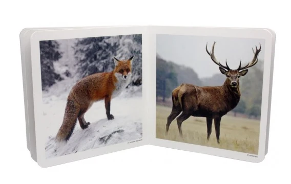 Animales del bosque - Nowordbooks - Imagen 3