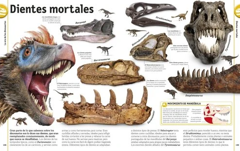 El libro de los Dinosaurios - Imagen 4