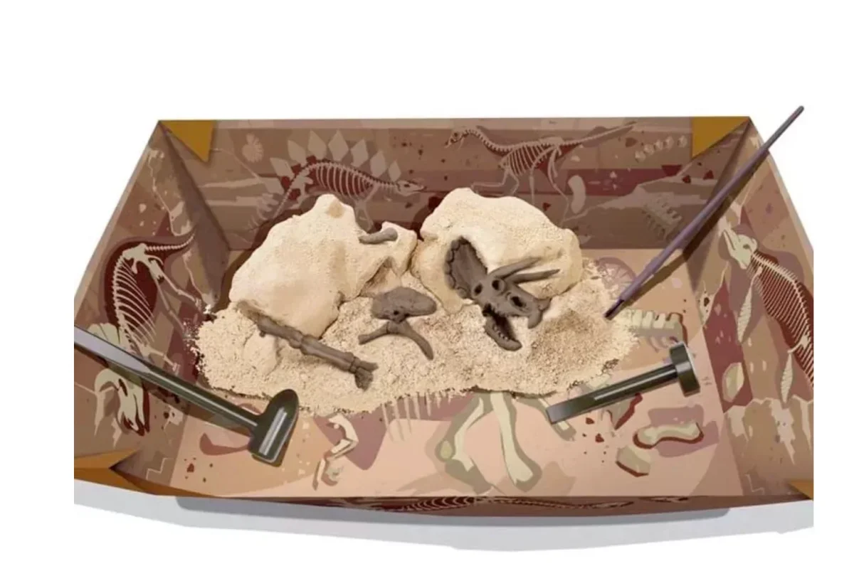 Kit de Paleontología Triceratops - 4M - Imagen 3