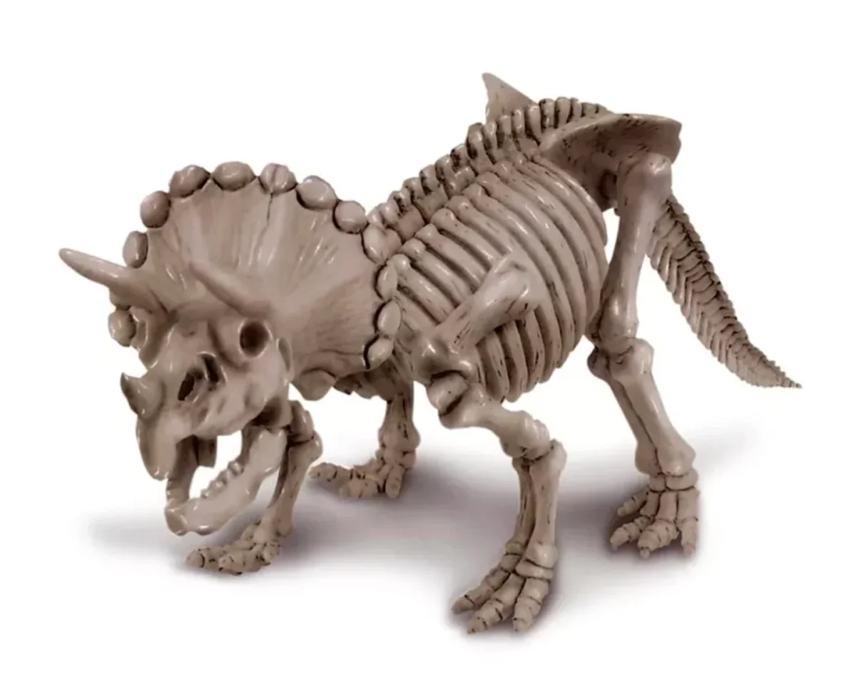 Kit de Paleontología Triceratops - 4M - Imagen 4