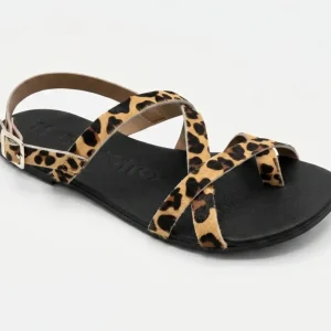 Sandalias Barefoot Respetuosas Coqueflex Suede Leopardo