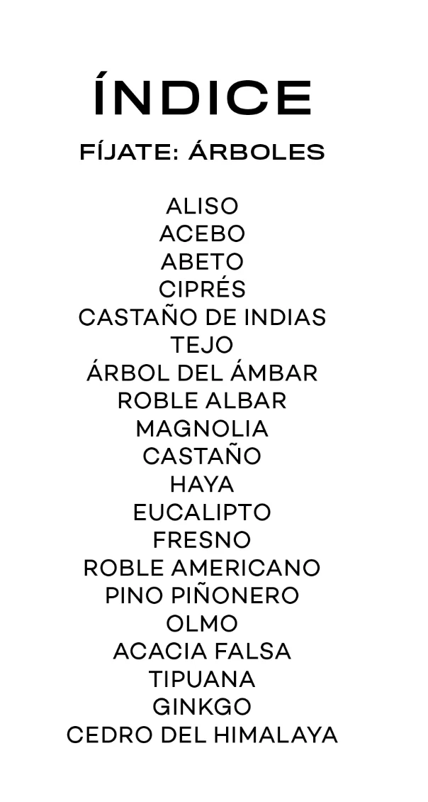 Fíjate: Árboles: - Imagen 3