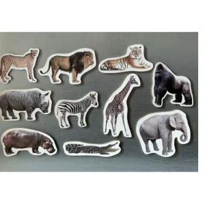 Imanes de bambú Animales de la Salvajes - Nowordbooks