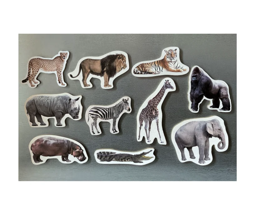 Imanes de bambú Animales de la Salvajes - Nowordbooks - Imagen 2