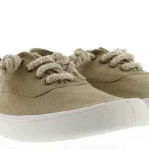 Olmo barefoot laurel - Victoria (liquidación)
