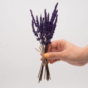 Ramito de lavanda preservada