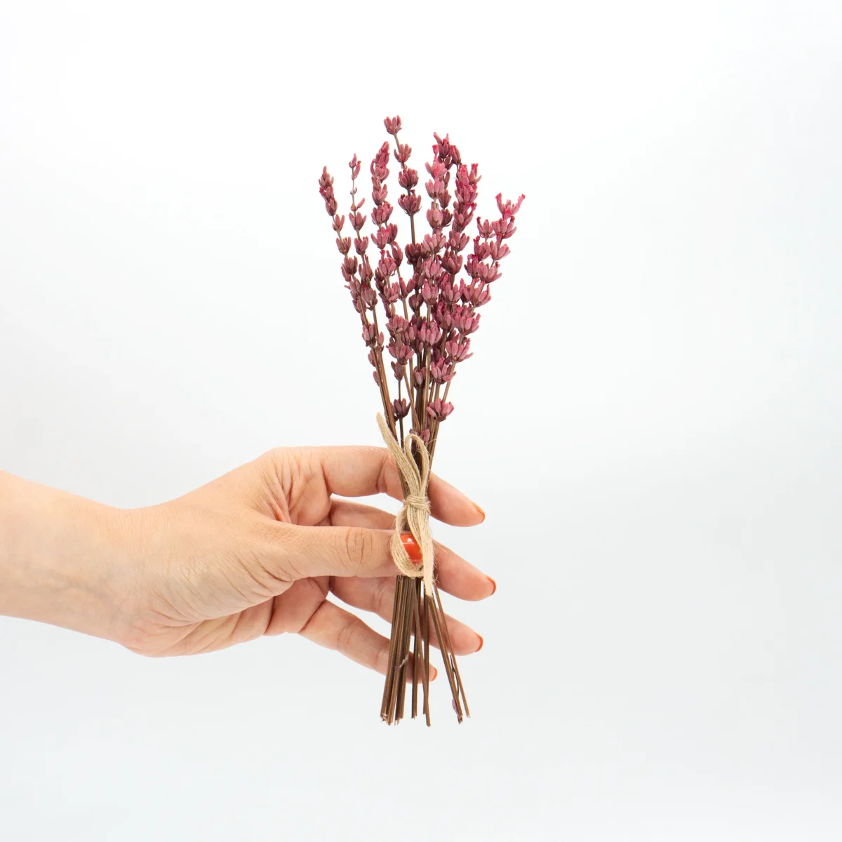 Ramito de lavanda preservada Rosa