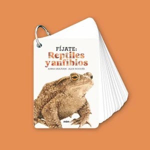 Fíjate: Reptiles y anfibios