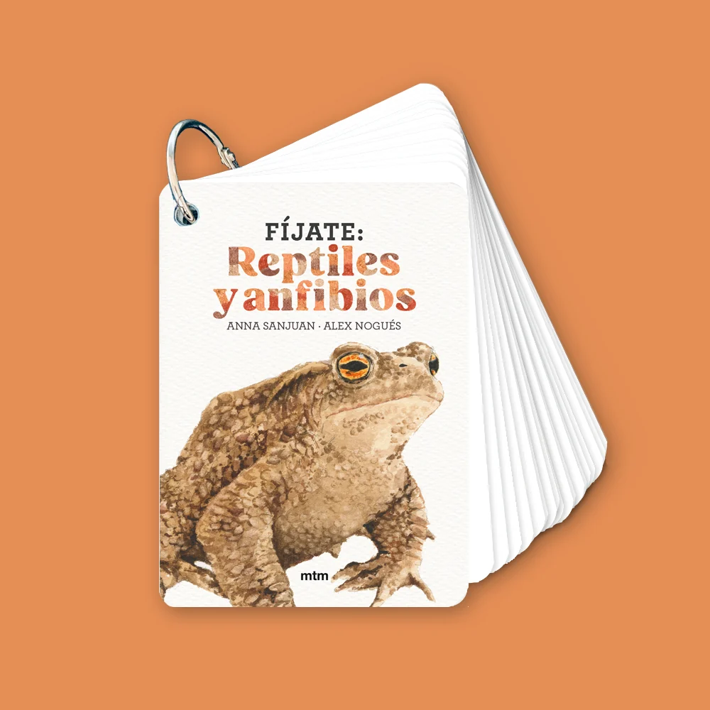 Fíjate: Reptiles y anfibios