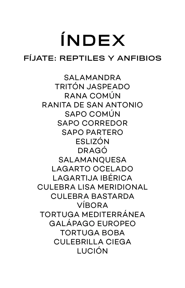 Fíjate: Reptiles y anfibios - Imagen 3