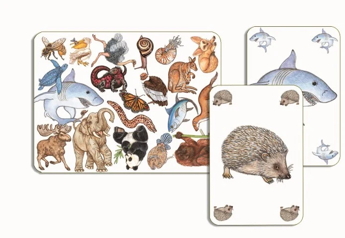 Cartas Zanimatch - Imagen 3