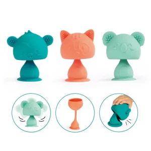 Animales con ventosa - Ludi