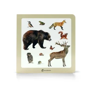 Animales del Bosque 2 - Nowordbooks
