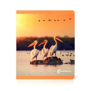 Aves gran formato - Nowordbooks