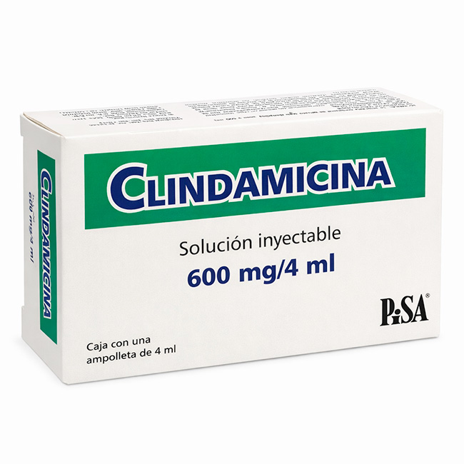 Clindamicina 600mg/4ml | Solución Inyectable - Imagen 2