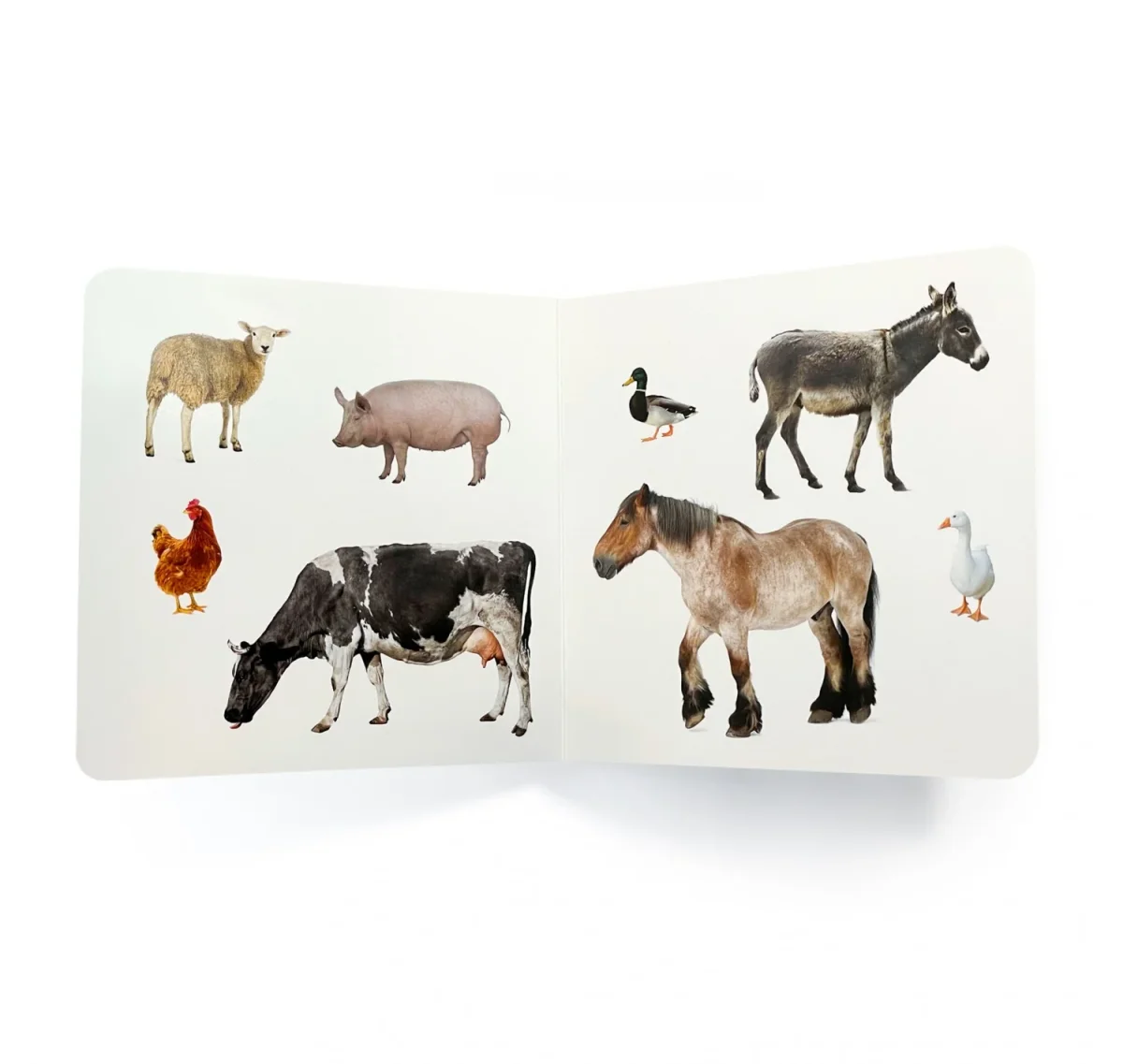 Animales de la granja 2 - Nowordbooks - Imagen 3
