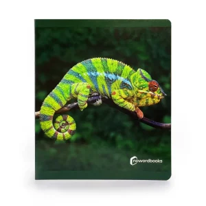 Animales de la selva - Nowordbooks