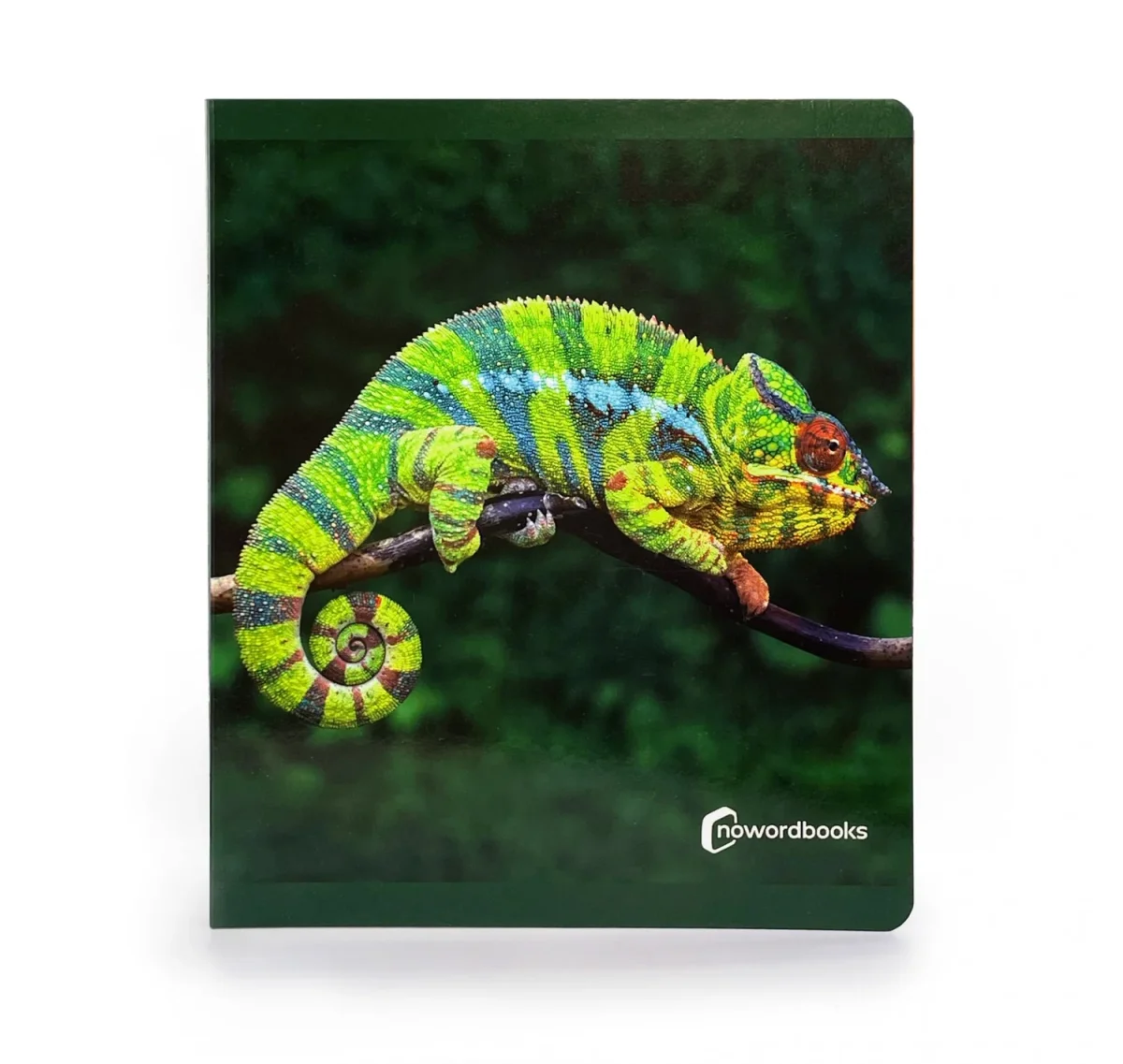 Animales de la selva - Nowordbooks - Imagen 2