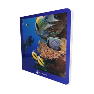Animales marinos - Nowordbooks