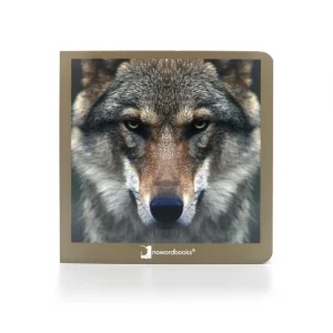 Animales salvajes 2 – Nowordbooks